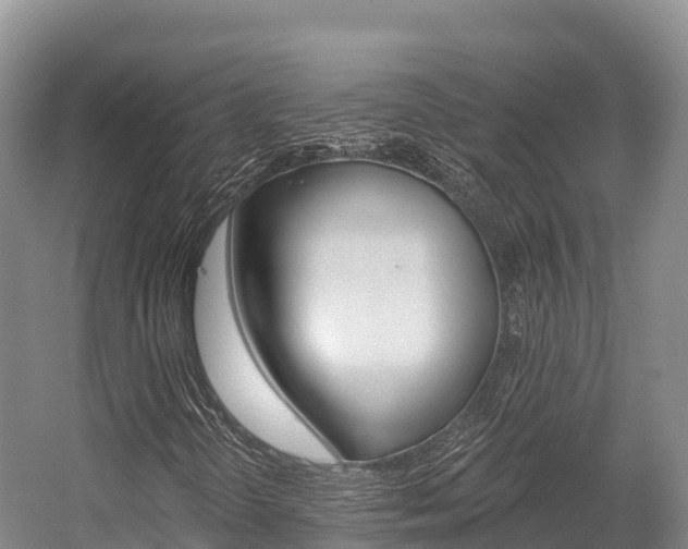 X0000055991298200508190745