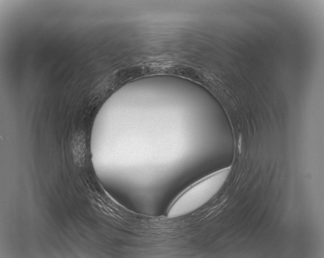 X0000055991299200508190745