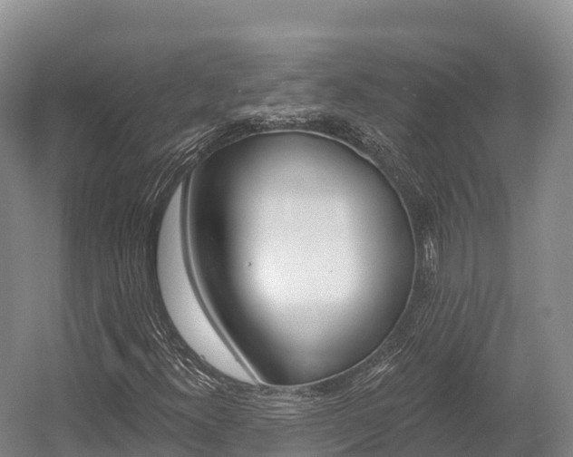 X0000055991300200508190745