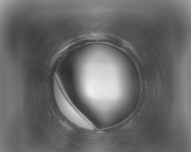 X0000055991304200508190745