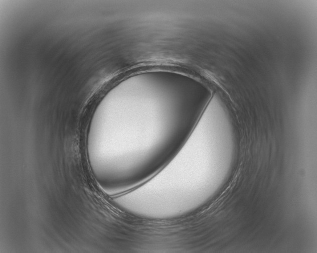 X0000055991307200508190745