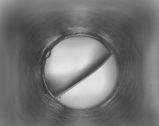 X0000055991309200508190745