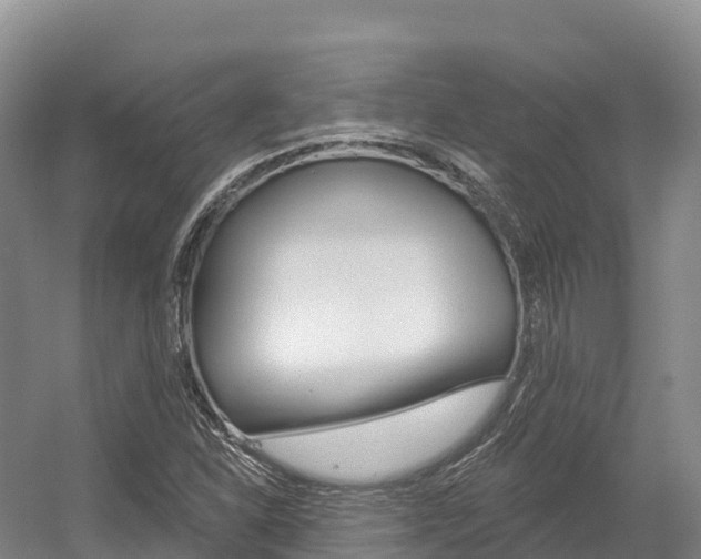 X0000055991310200508190745