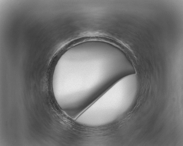 X0000055991311200508190745