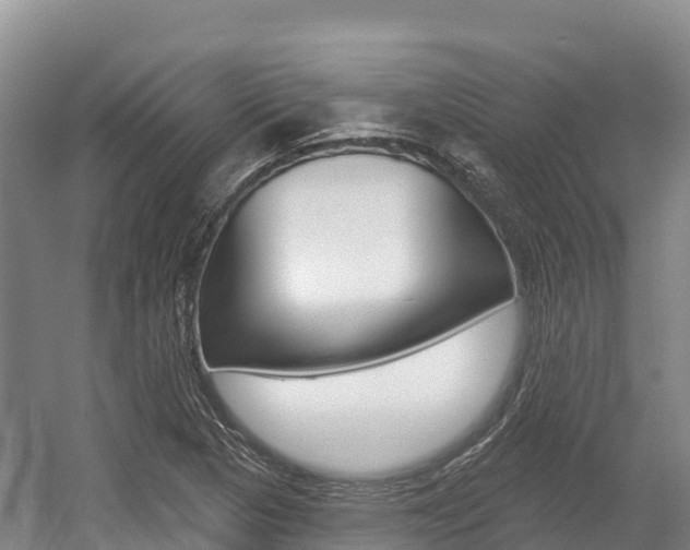 X0000055991313200508190745