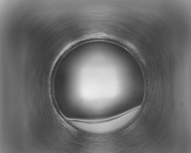 X0000055991326200508190745