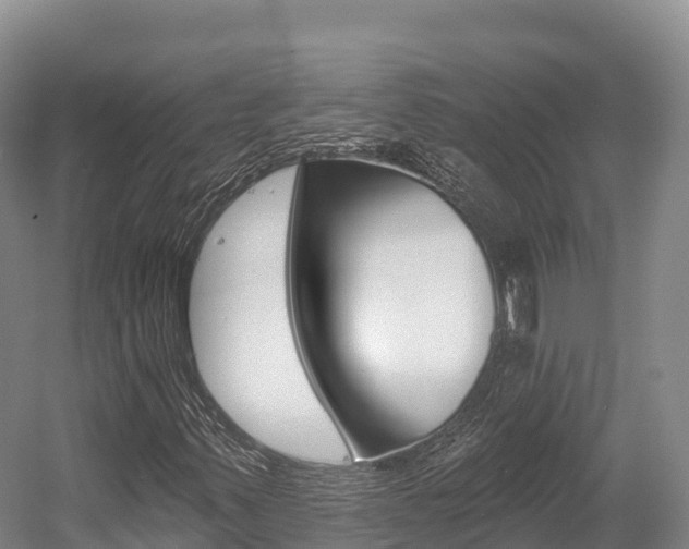 X0000055991347200508190745