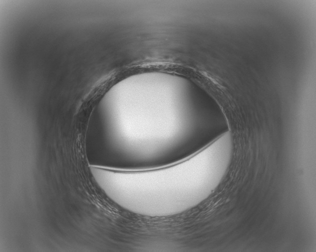 X0000055991351200508190745