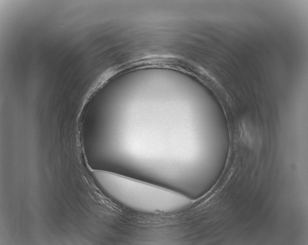 X0000055991362200508190744