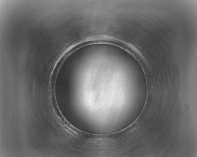 X0000055991364200508190744