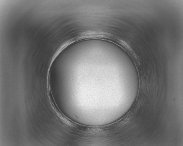 X0000055991370200508190744