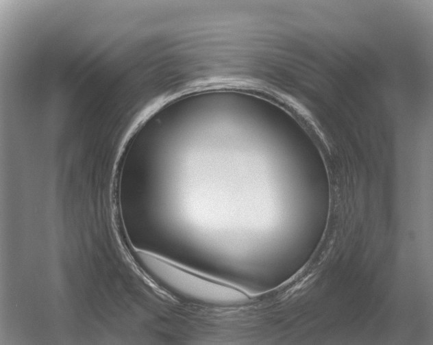 X0000055991373200508190744