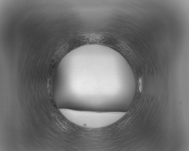 X0000055991395200508190743