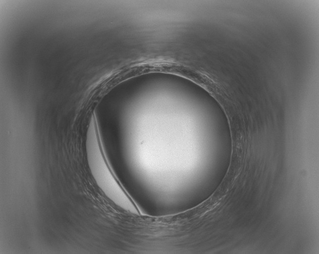 X0000055991398200508190743