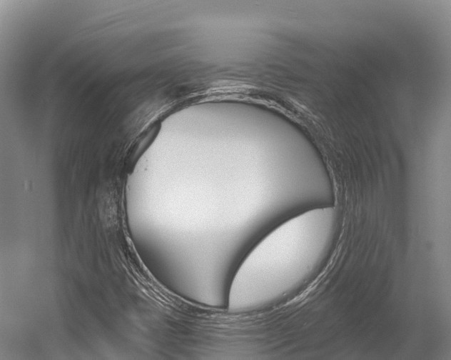 X0000055991401200508190743