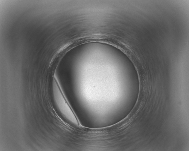 X0000055991402200508190743