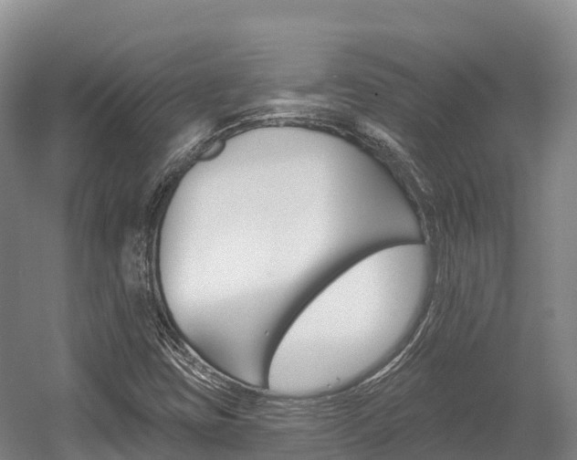 X0000055991403200508190743