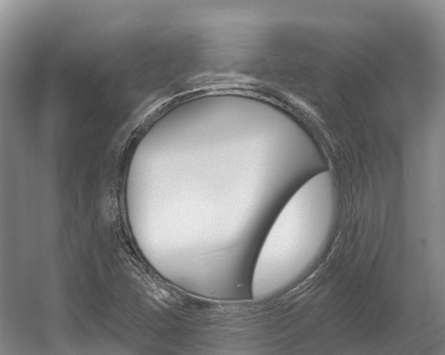 X0000055991407200508190743