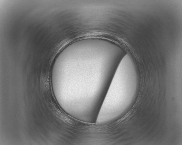 X0000055991409200508190743