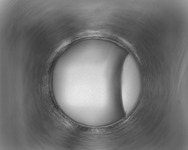 X0000055991411200508190743