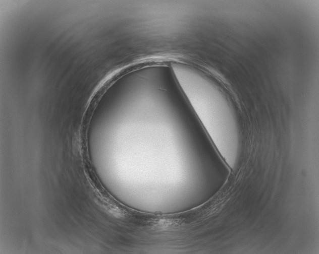 X0000055991412200508190743
