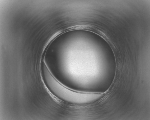 X0000055991426200508190744