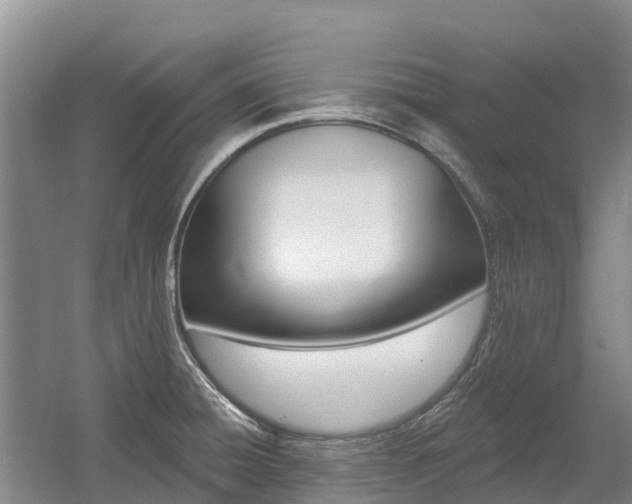X0000055991428200508190744