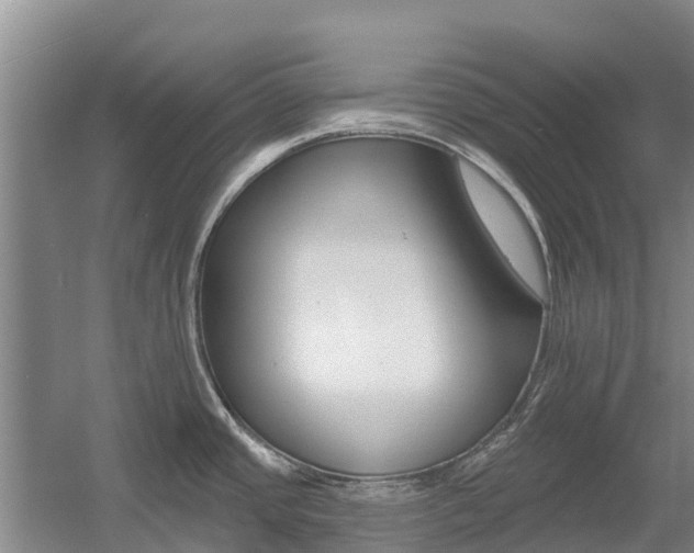 X0000055991437200508190744