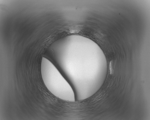 X0000055991443200508190743