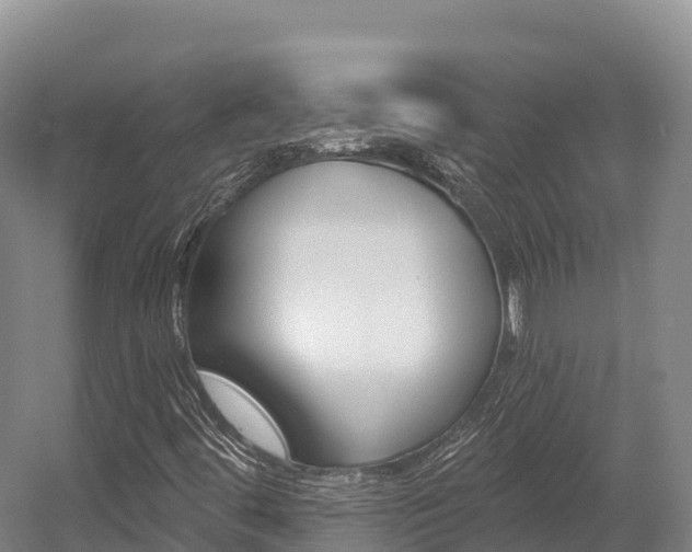 X0000055991444200508190743