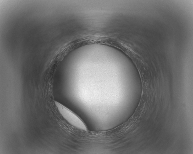 X0000055991447200508190743