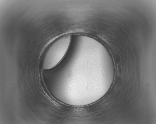 X0000055991452200508190743