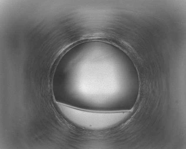X0000055991457200508190743