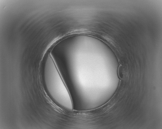 X0000055991458200508190743