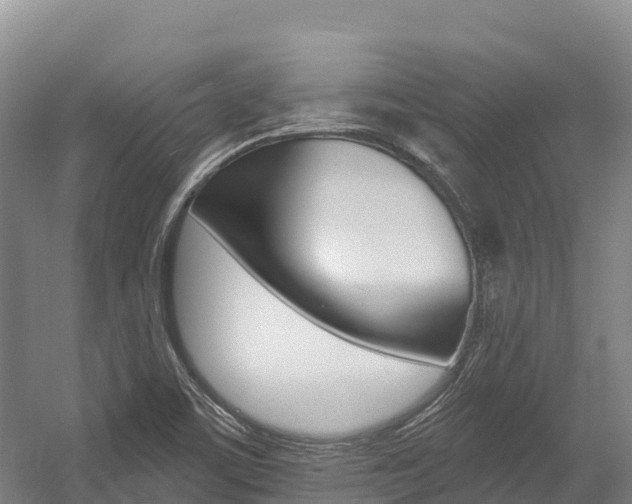 X0000055991459200508190743