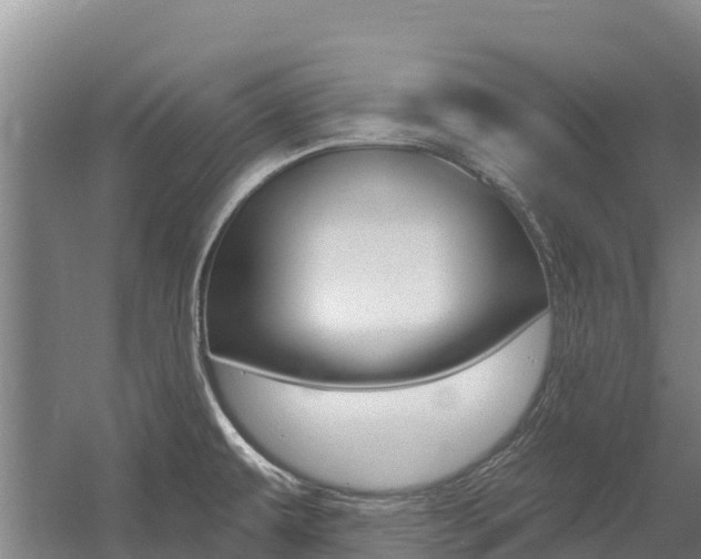 X0000055991479200508190742