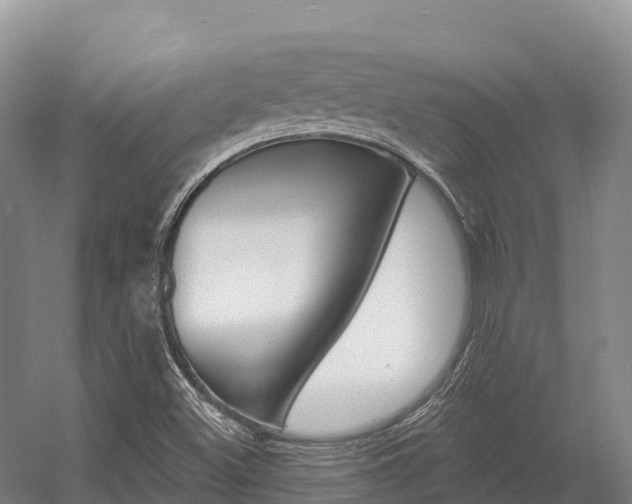 X0000055991500200508190742