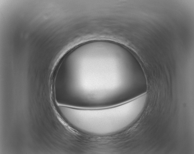 X0000055991511200508190742