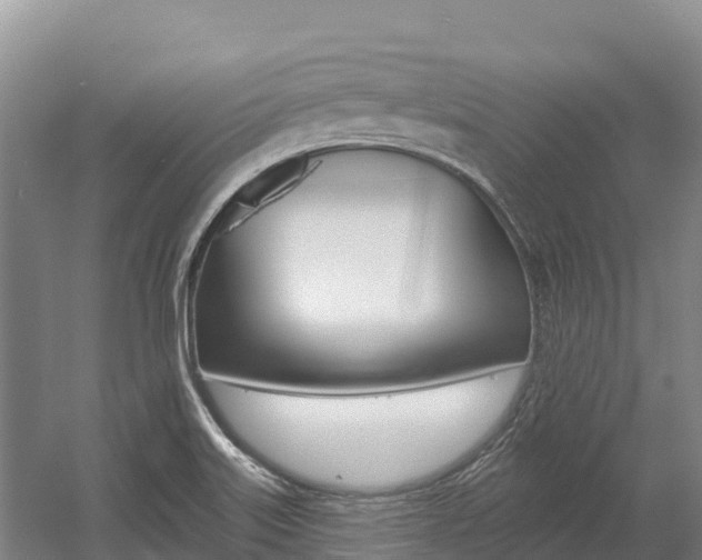 X0000055991515200508190742