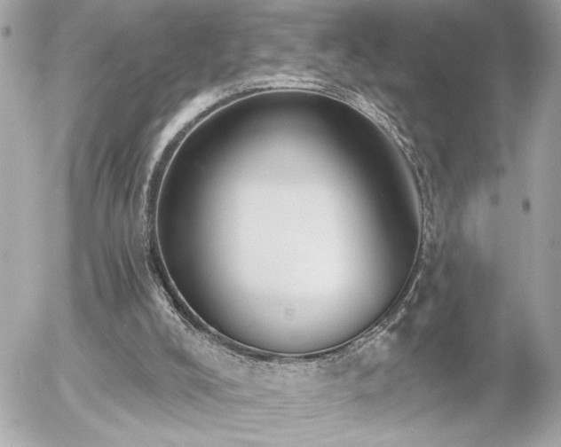 X0000055990008200508191310