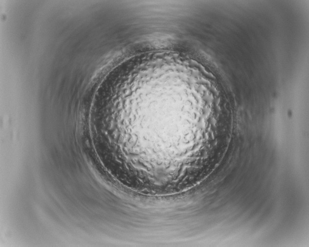 X0000055990018200508191310