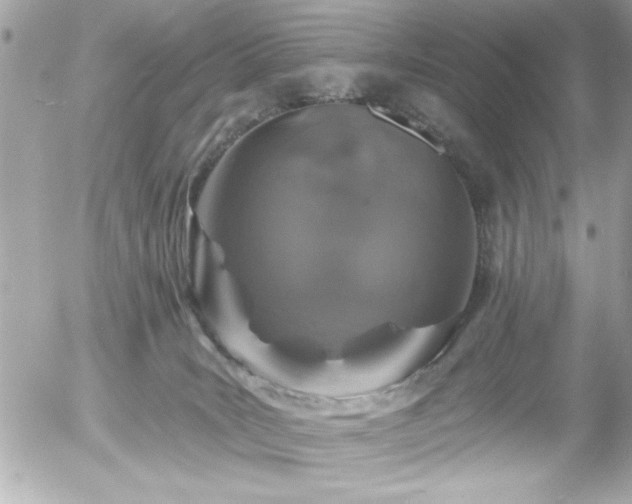 X0000055990035200508191309