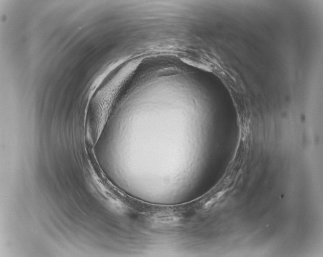 X0000055990052200508191309