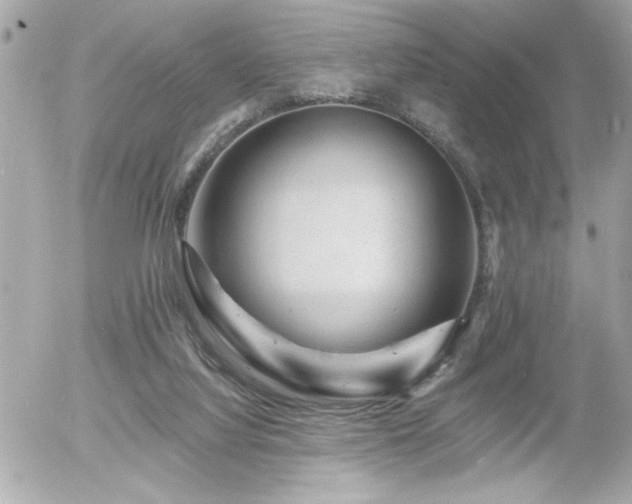X0000055990068200508191309