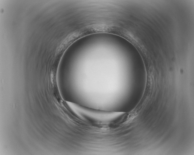 X0000055990117200508191308