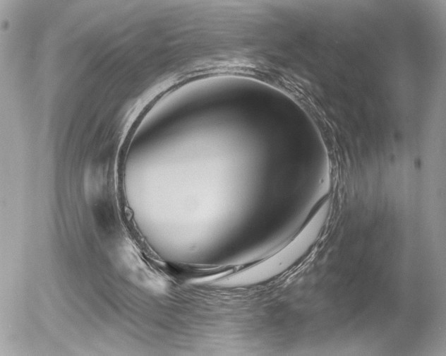 X0000055990148200508191307