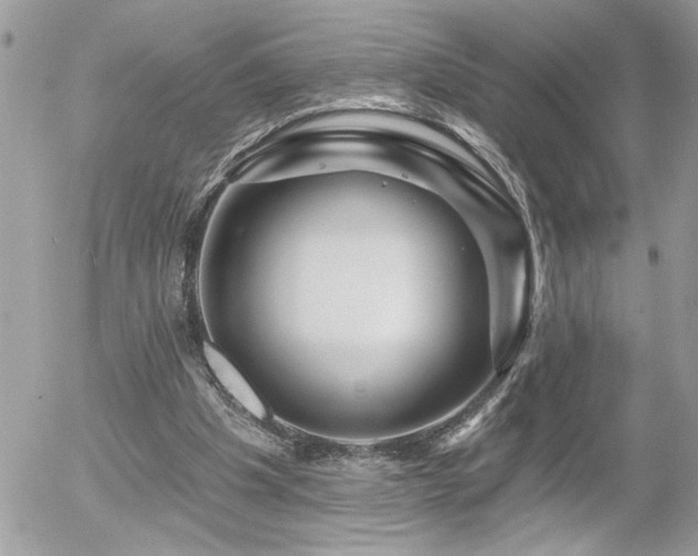 X0000055990201200508191307