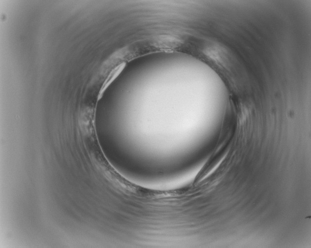 X0000055990237200508191306