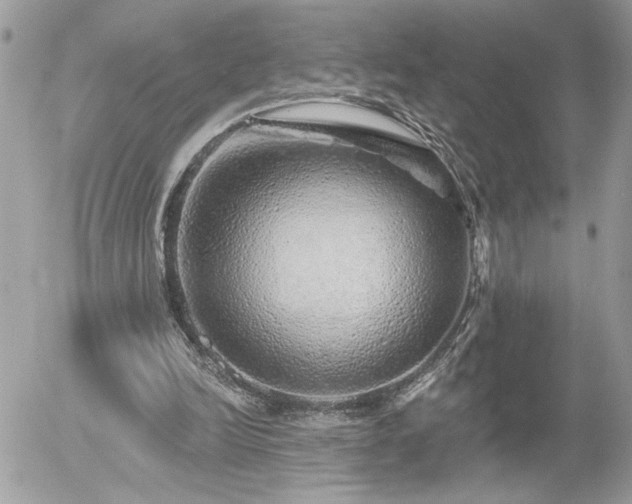 X0000055990246200508191305