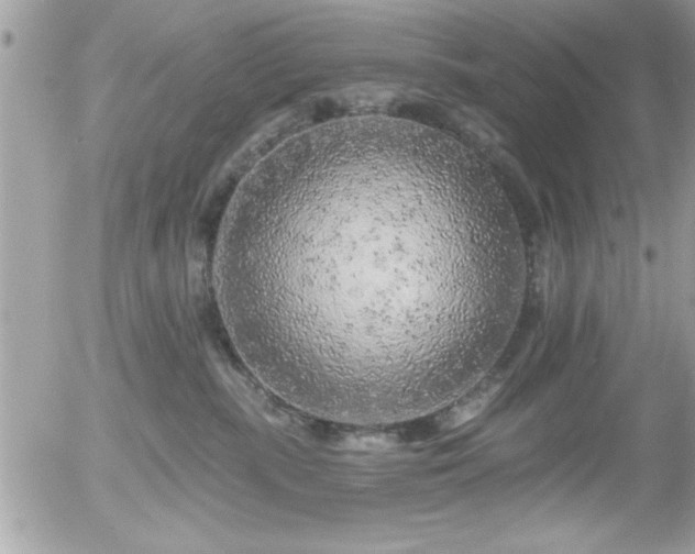 X0000055990283200508191306